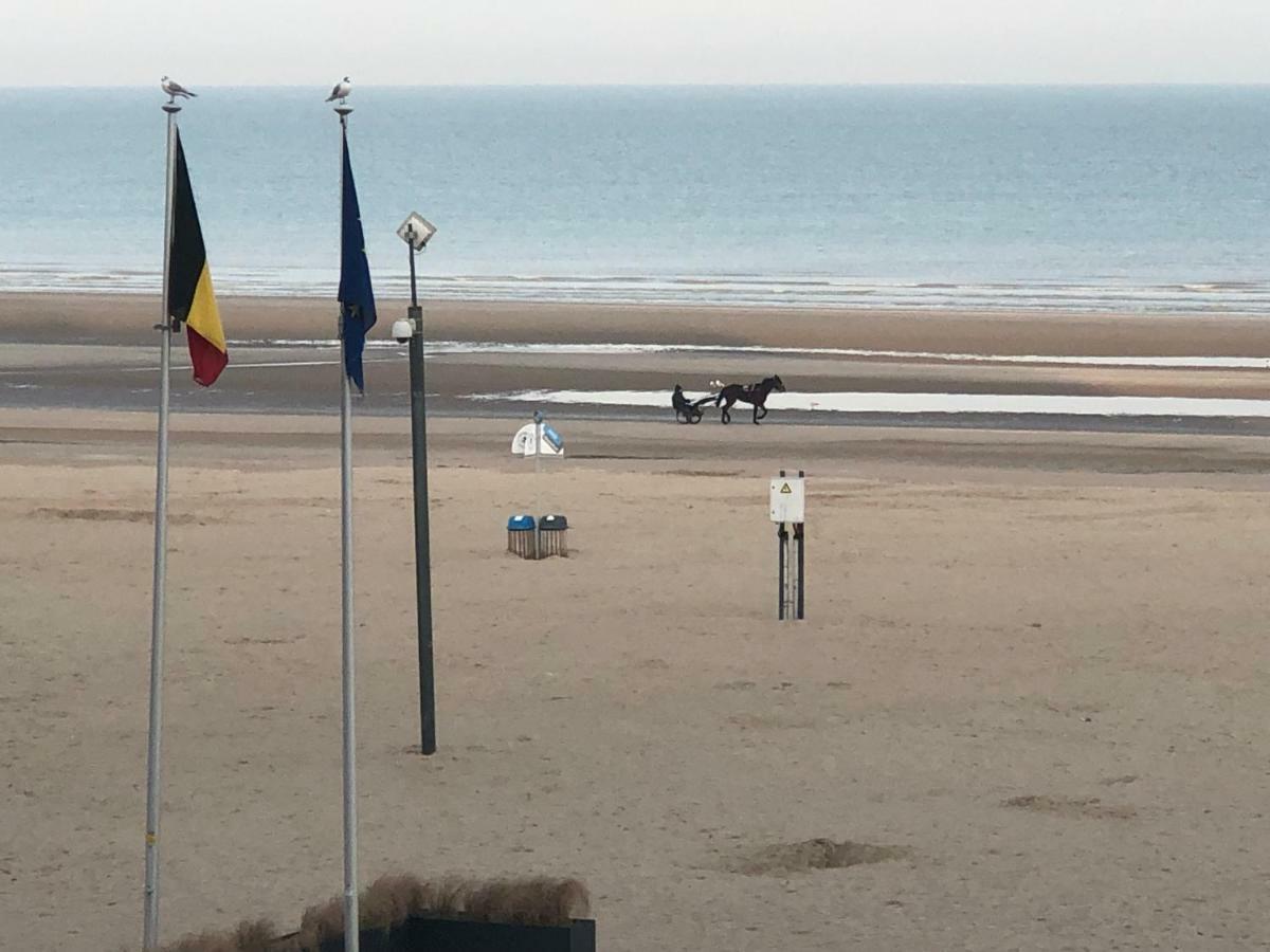 Residentie Albert-1, App.202, Zeelaan 214 De Panne Eksteriør bilde